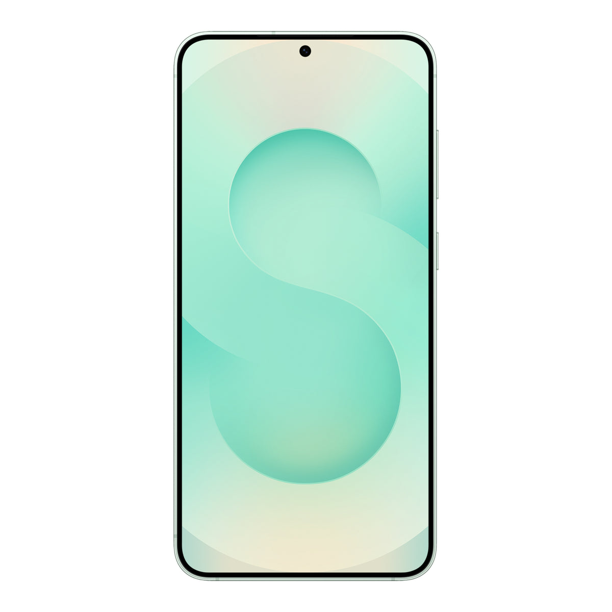 Samsung Galaxy S25+ in Mint, front