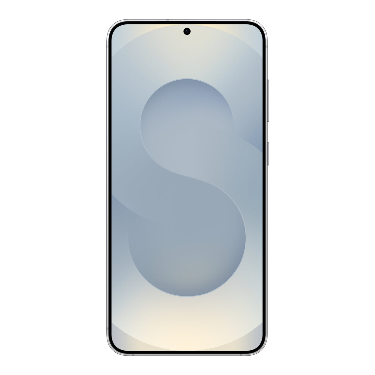 Samsung Galaxy S25+ in Silver Shadow, front